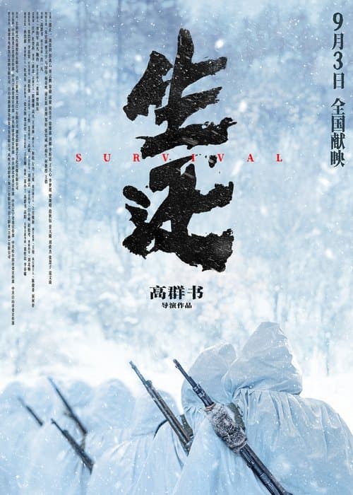 生还 afişi