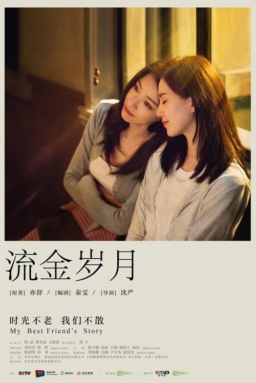 流金岁月 afişi