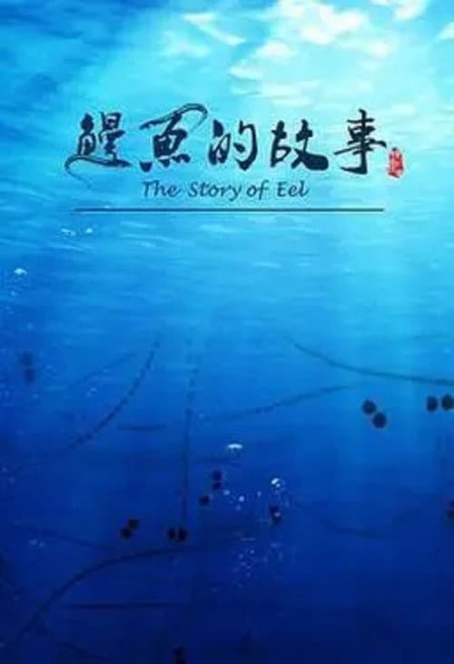 鳗鱼的故事 afişi