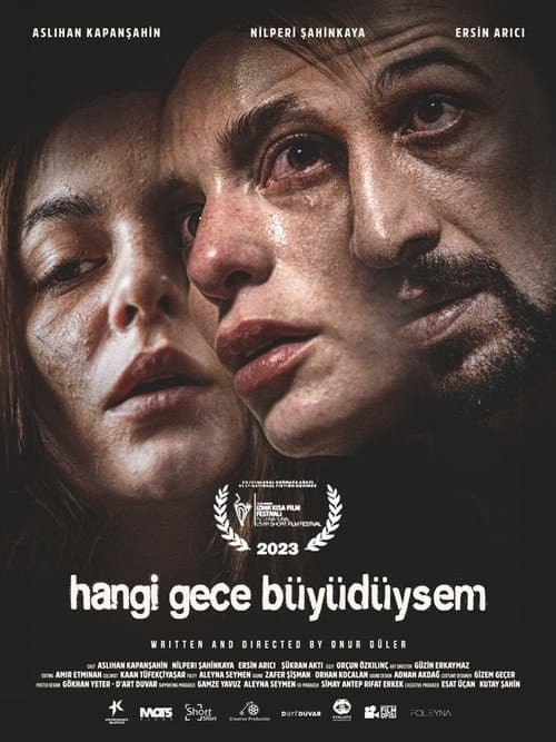 Hangi Gece Büyüdüysem afişi