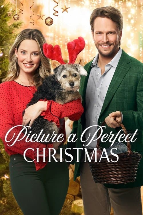 Picture a Perfect Christmas afişi