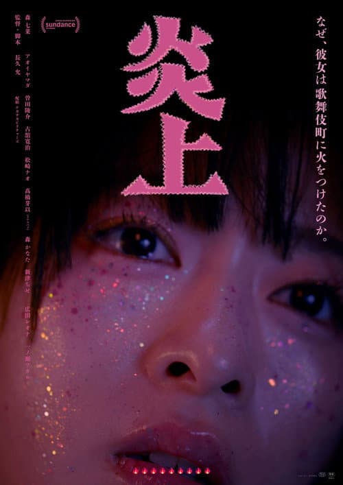 炎上 afişi