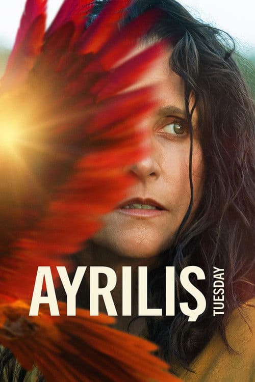Ayrılış afişi