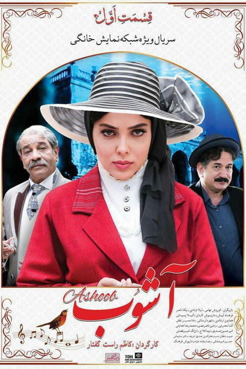 آشوب afişi
