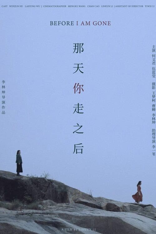 那天你走之后 afişi