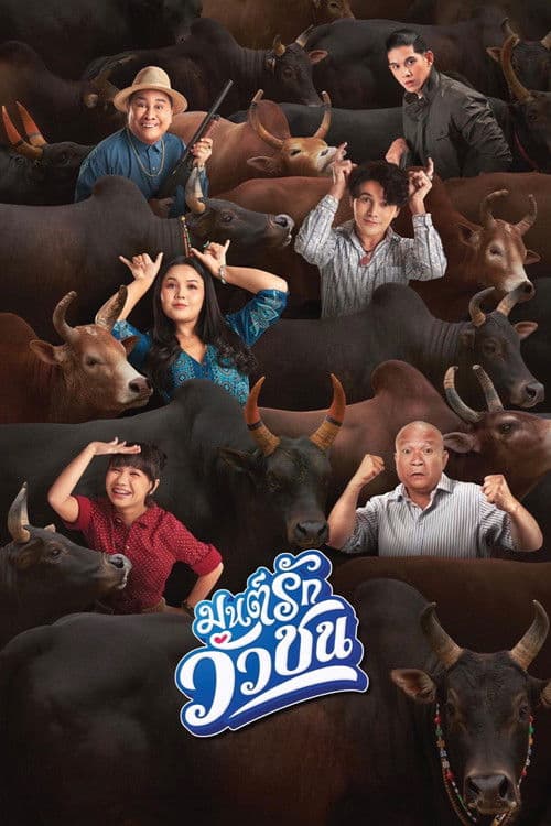 มนต์รักวัวชน afişi