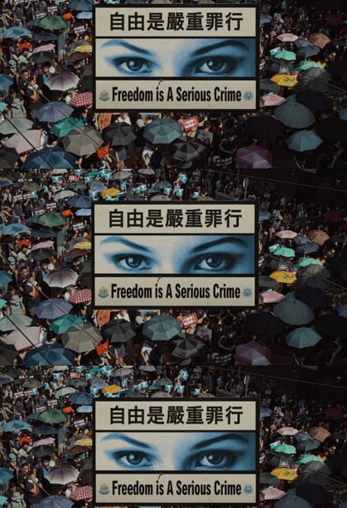 Freedom Is A Serious Crime afişi