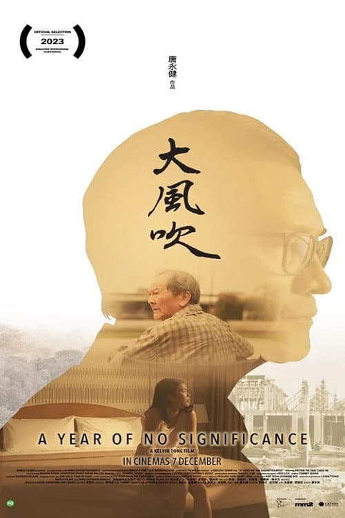 大风吹 afişi