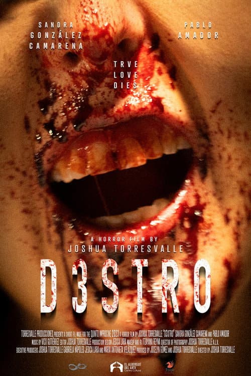 D3STRO afişi