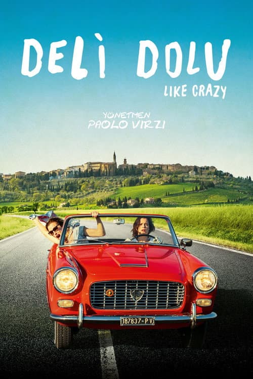 Deli Dolu afişi