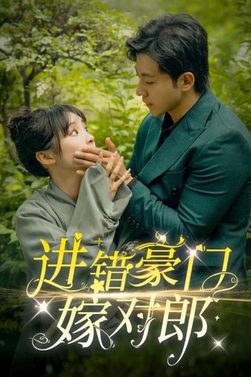 进错豪门嫁对郎 afişi