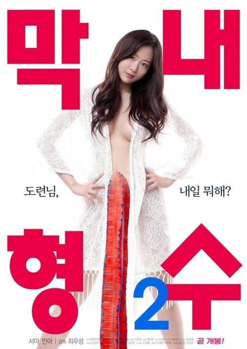 막내 형수 2 afişi