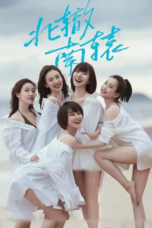 北辙南辕 afişi