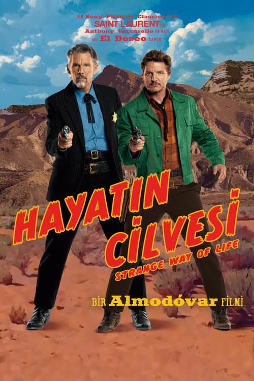 Hayatın Cilvesi afişi