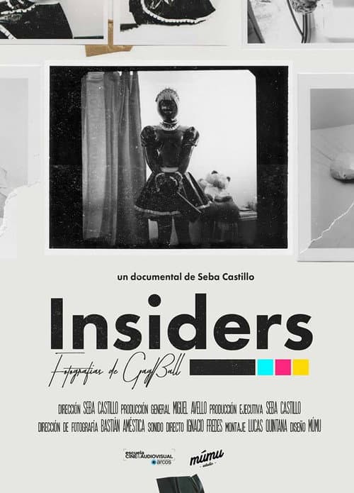 Insiders afişi