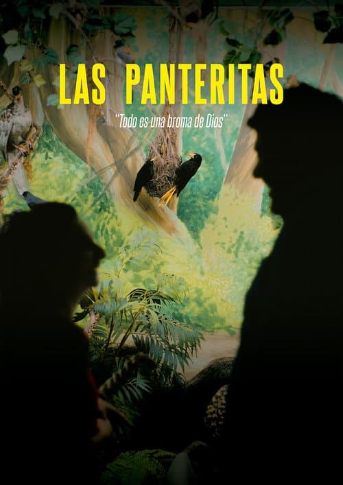 Las panteritas afişi