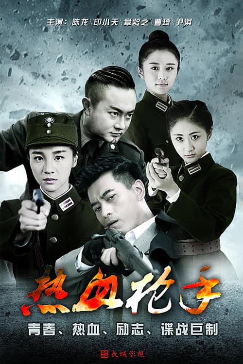 热血枪手 afişi