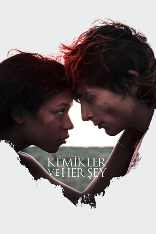 Kemikler ve Her Şey afişi