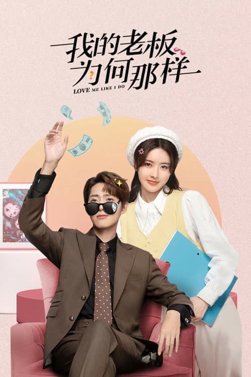我的老板为何那样 afişi