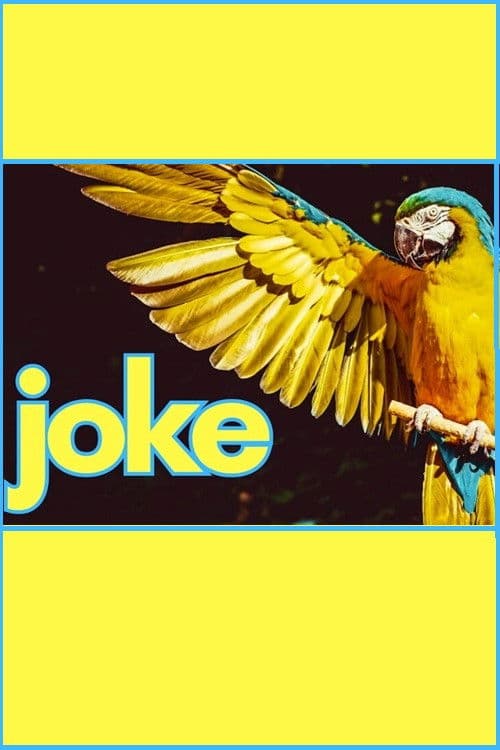Joke afişi