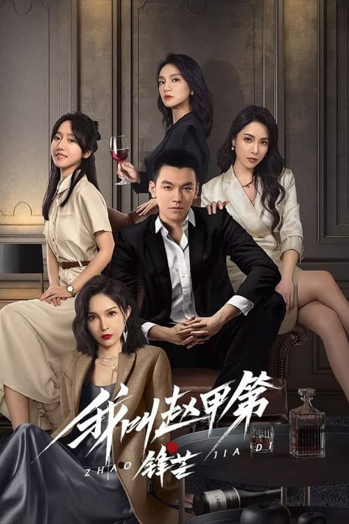 我叫赵甲第之锋芒 afişi