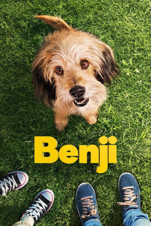 Benji afişi
