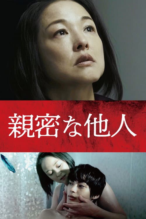 親密な他人 afişi