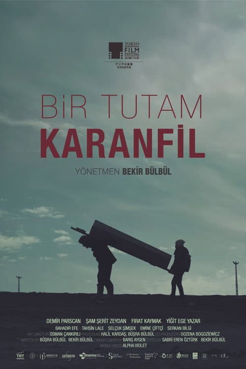 Bir Tutam Karanfil afişi