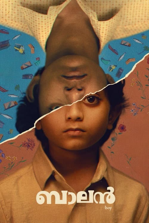 ബാലൻ  - The Boy afişi