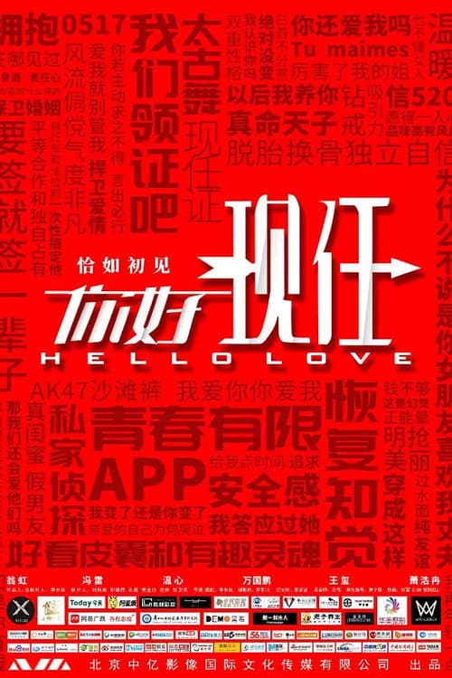 你好现任 afişi