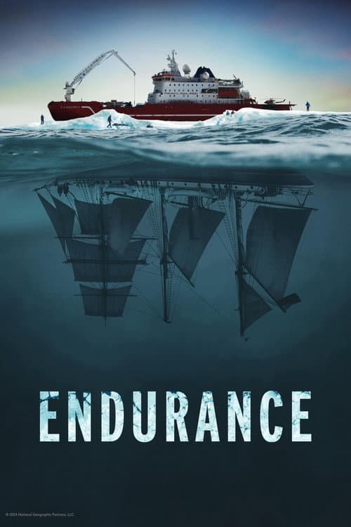 Batık Gemi Endurance afişi