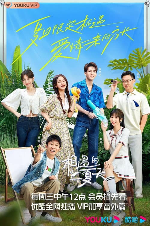 相遇的夏天 afişi