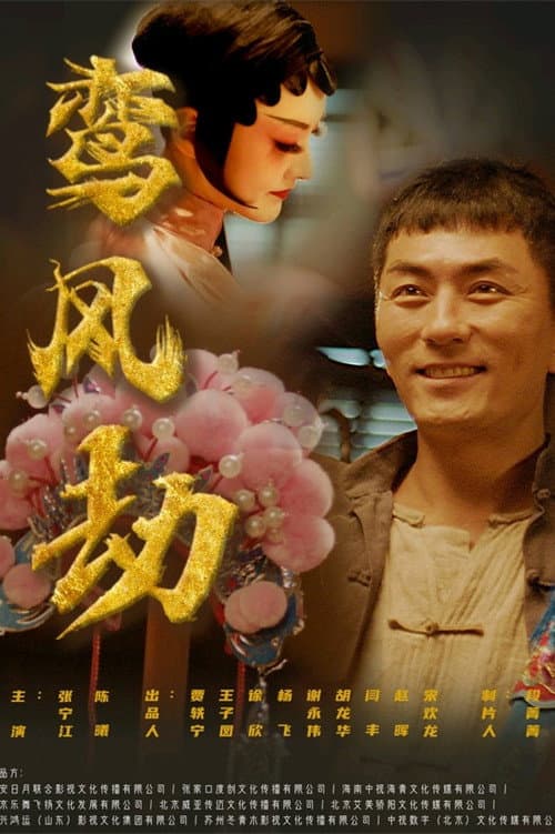 鸾凤劫 afişi