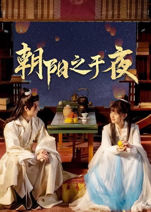 朝阳之于夜 afişi