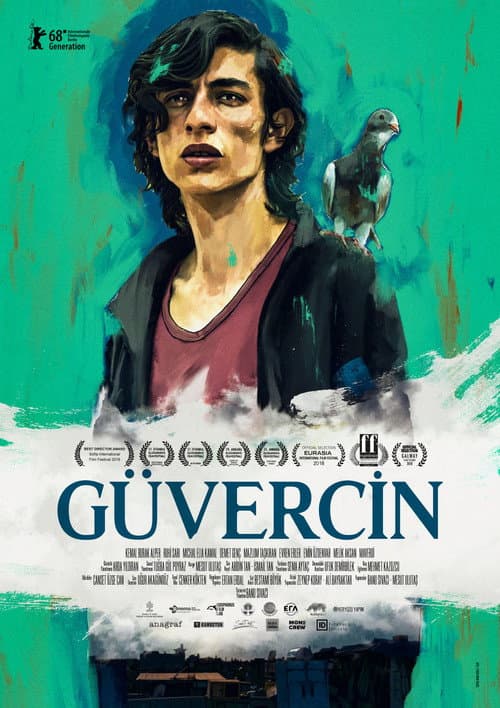 Güvercin afişi