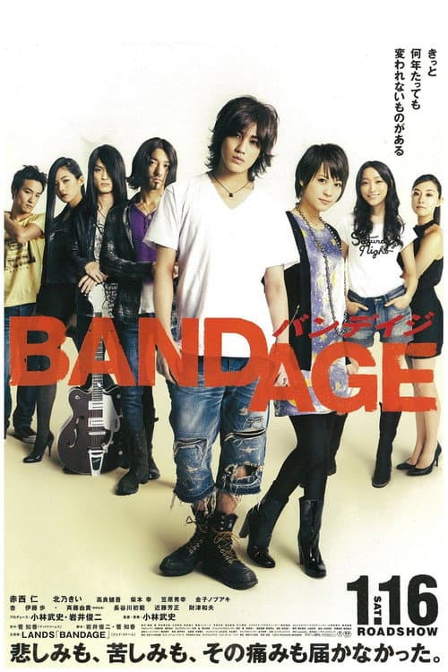 BANDAGE バンデイジ afişi