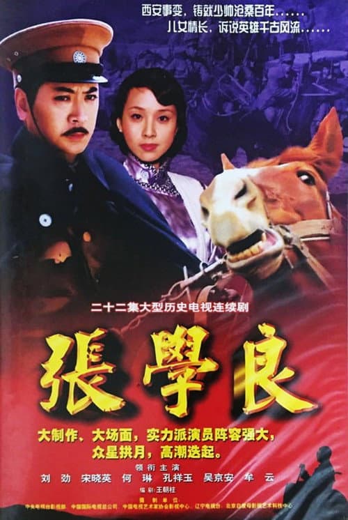 张学良 afişi