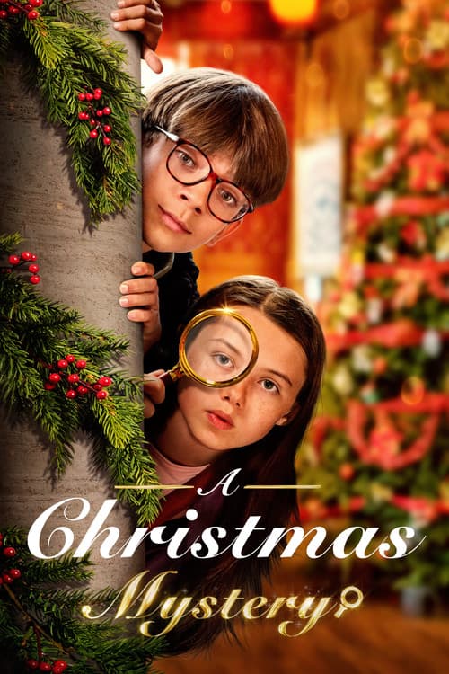 Bir Noel Gizemi afişi