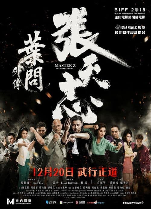 Usta Z: Ip Man'in Mirası afişi