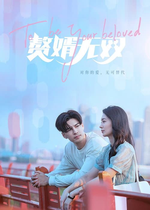 赘婿无双 afişi