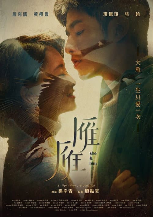 雁雁 afişi