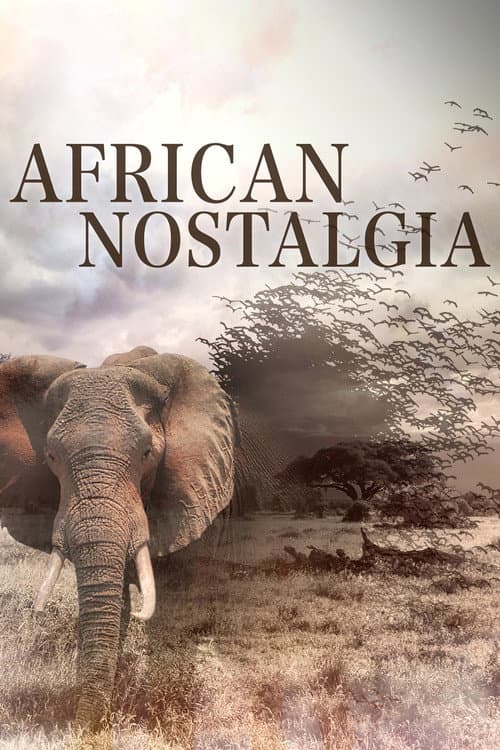 African Nostalgia afişi
