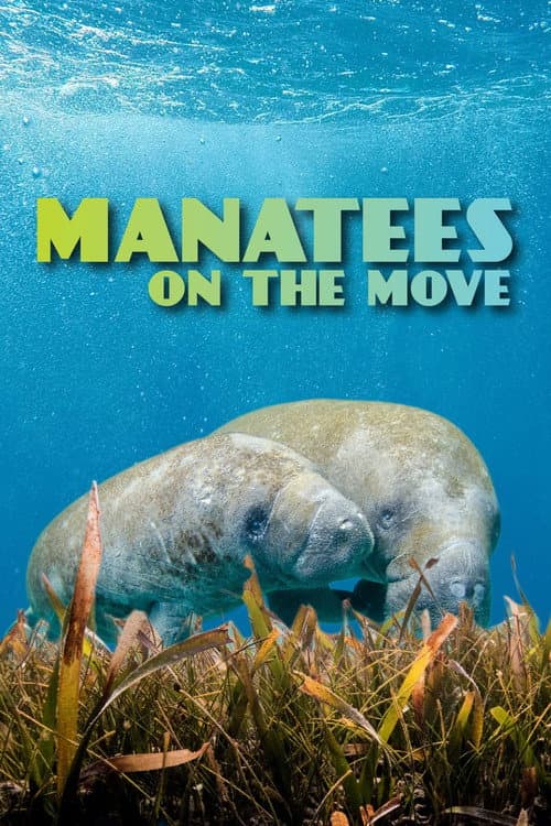 Manatees On The Move afişi