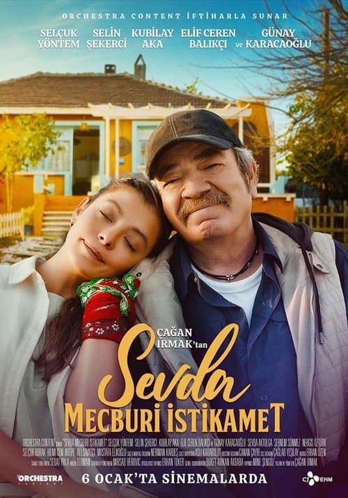 Sevda Mecburi İstikamet afişi
