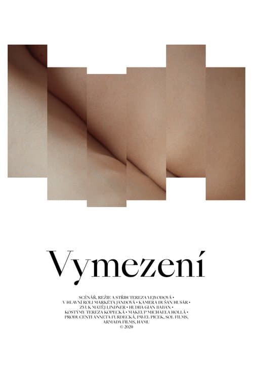 Vymezení afişi