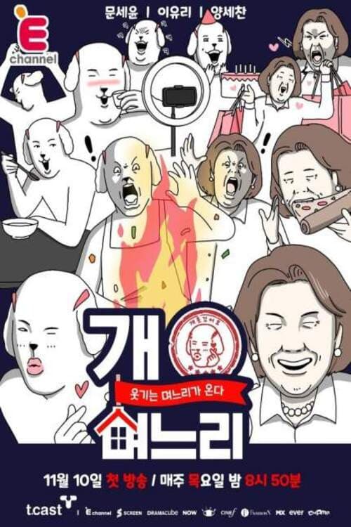 개며느리 afişi