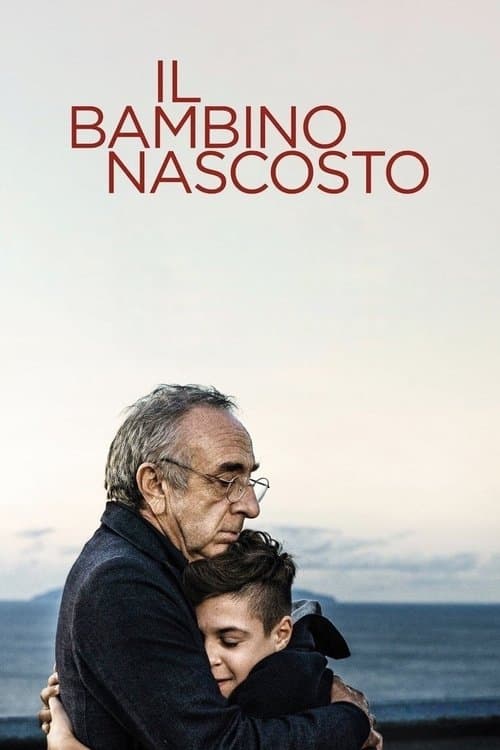Il bambino nascosto afişi