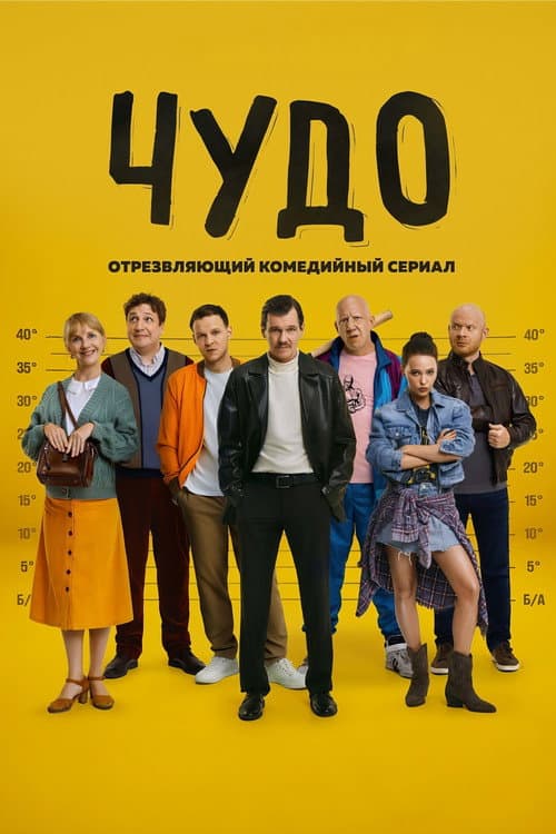 Чудо afişi