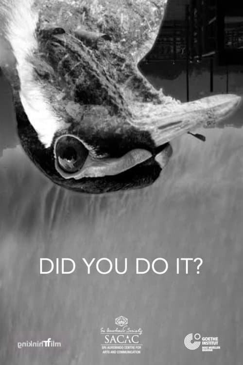 Did You Do It? afişi