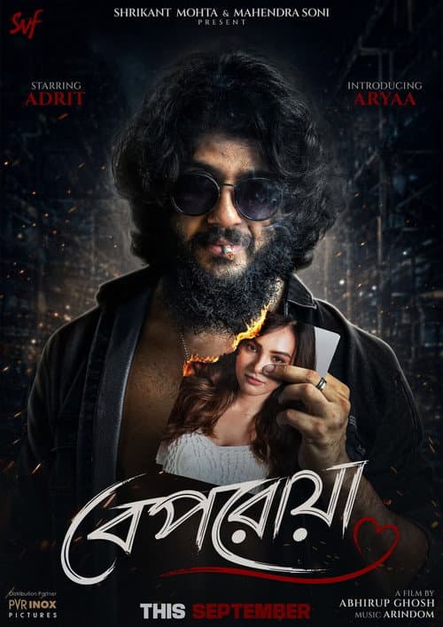বেপরোয়া afişi